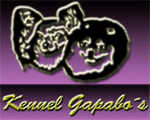kennel Gapabo's